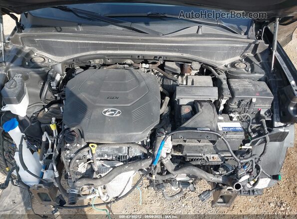 KM8R4DHE5LU065194 2020 HYUNDAI PALISADE Black Widok z tyłu