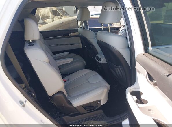 KM8R4DHE6LU088001 2020 HYUNDAI PALISADE White Widok naklejki z numerem VIN