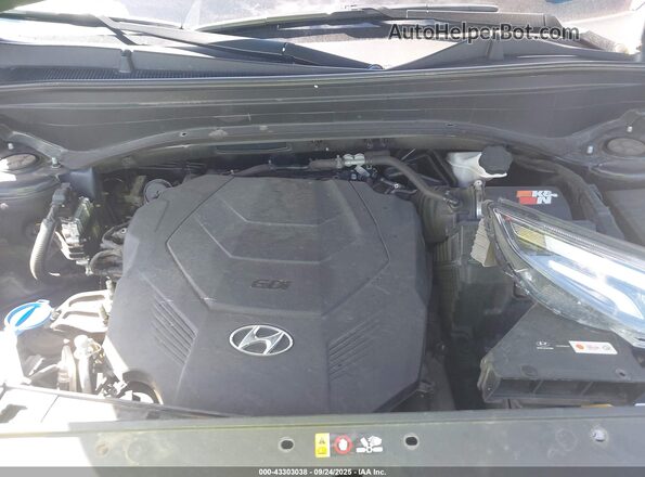 KM8R5DHE6LU124265 2020 HYUNDAI PALISADE Black Widok z tyłu