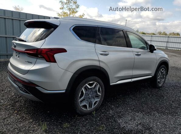KM8S3DA18MU005388 2021 HYUNDAI SANTA Silver Задня права чверть