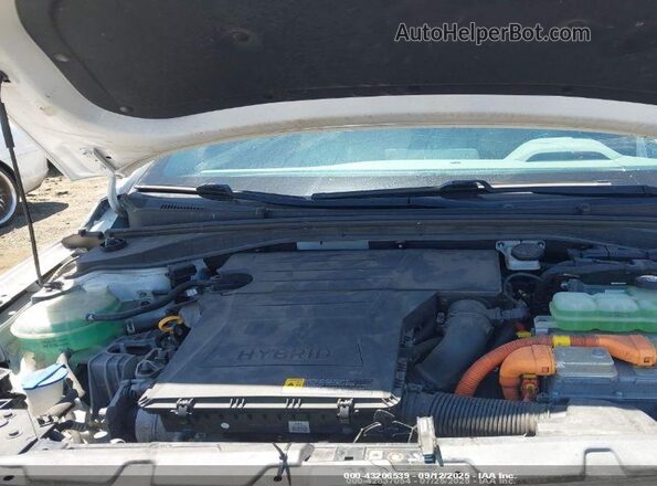 KMHC85LCXLU208016 2020 HYUNDAI IONIQ HYBRID Белый Вид сзади