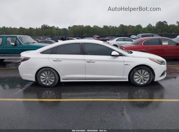KMHE24L11GA040938 2016 HYUNDAI SONATA HYBRID Белый Вид задней части салона