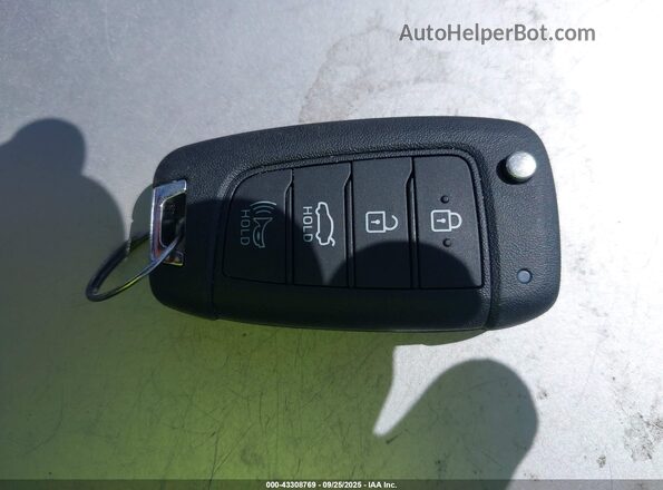 KMHLL4DG9RU843358 2024 HYUNDAI ELANTRA Dark Blue 