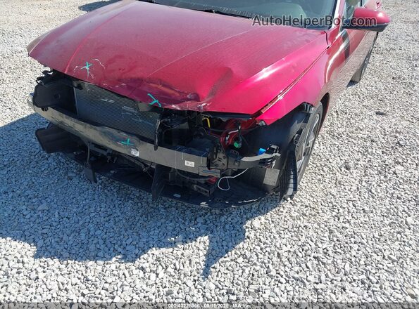 KMHLP4DG5RU664951 2024 HYUNDAI ELANTRA Red Front view