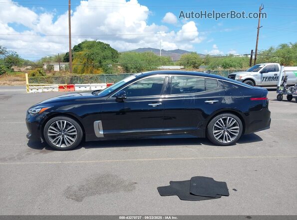 KNAE25LA0K6058804 2019 KIA STINGER Black Панорамний вид салону 360°