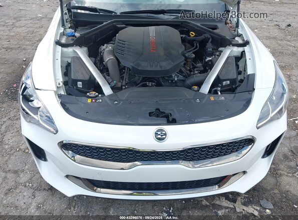 KNAE35LC0L6079667 2020 KIA STINGER White Հետևի տեսք