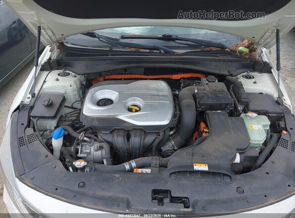 KNAGV4LD2H5010143 2017 KIA OPTIMA PLUG-IN HYBRID White Widok z tyłu