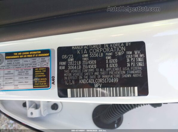 KNDC4DLC0R5170499 2024 KIA EV6 Белый 