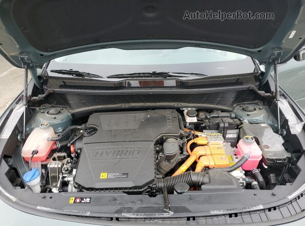 KNDCT3LE3R5125166 2024 KIA NIRO Green 