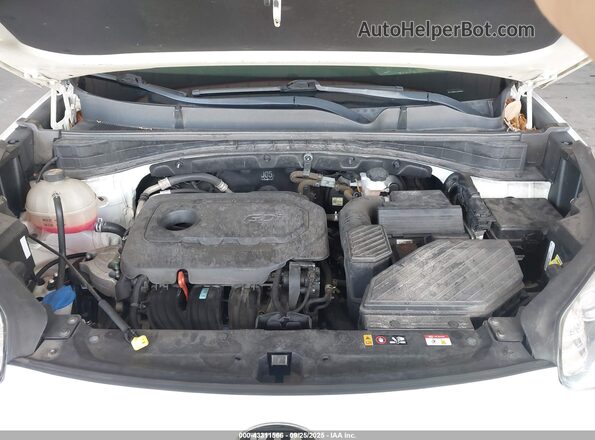 KNDPM3AC4M7926539 2021 KIA SPORTAGE Белый Вид сзади