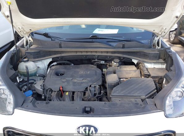 KNDPN3AC8K7567271 2019 KIA SPORTAGE White Հետևի տեսք