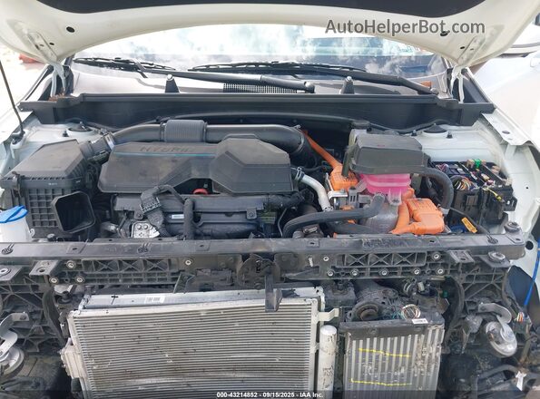 KNDPXCDG1S7184233 2025 KIA SPORTAGE HYBRID Белый Вид сзади