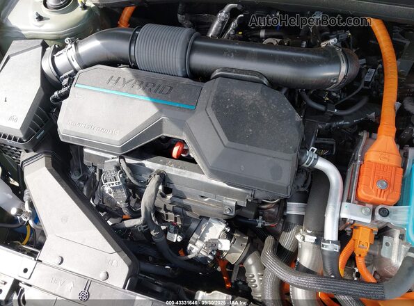 KNDPYDDH1S7190416 2025 KIA SPORTAGE PLUG-IN HYBRID Green Вид ззаду