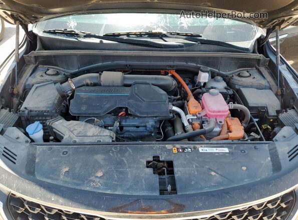 KNDRH4LG6R5246907 2024 KIA SORENTO Black 