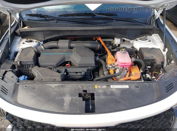 KNDRHDLG4N5084205 2022 KIA SORENTO HYBRID Белый 