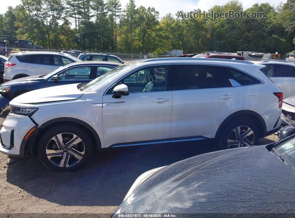 KNDRHDLG4N5084205 2022 KIA SORENTO HYBRID Белый 