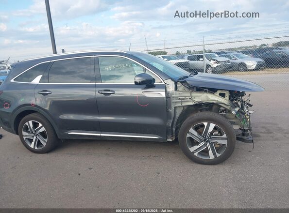 KNDRHDLG7R5259276 2024 KIA SORENTO HYBRID Gray Панорамний вид салону 360°
