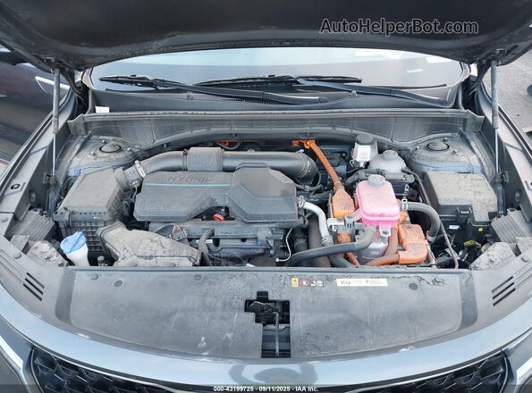 KNDRKDLG2R5248798 2024 KIA SORENTO Gray უკანა ხედი
