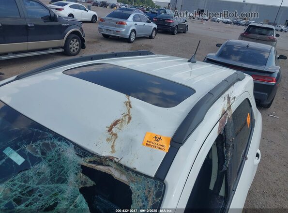 MAJ3S2GE1LC394864 2020 FORD ECOSPORT White 