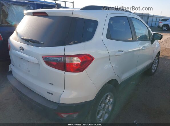 MAJ3S2GE2LC361811 2020 FORD ECOSPORT White უკანა მარჯვენა