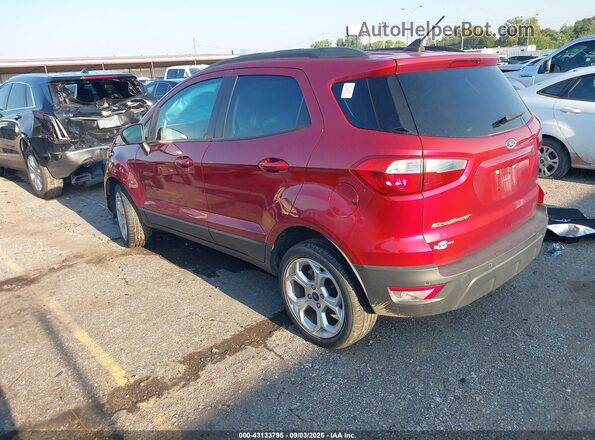 MAJ3S2GE3MC400343 2021 FORD ECOSPORT Red უკანა მარცხენა