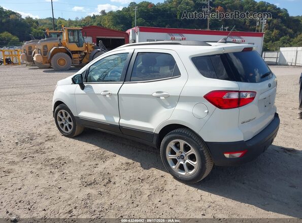 MAJ3S2GE6LC313339 2020 FORD ECOSPORT White Trasero izquierdo