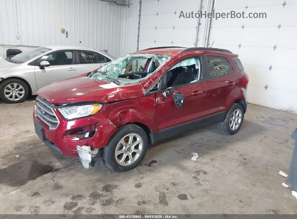 MAJ3S2GEXMC445411 2021 FORD ECOSPORT Red წინა მარცხენა ხედი სამი მეოთხედიდან