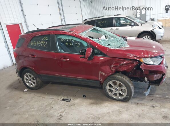 MAJ3S2GEXMC445411 2021 FORD ECOSPORT Red უკანა სალონის ხედი