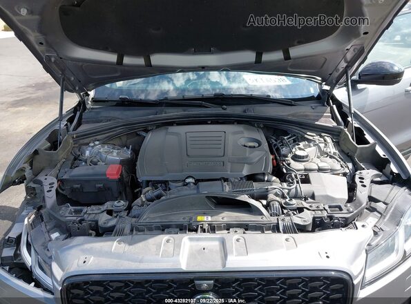 SADCT2EX9RA736663 2024 JAGUAR F-PACE Gray Widok z tyłu