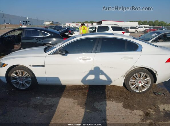 SAJAR4FX6KCP52634 2019 JAGUAR XF Белый Вид спереди