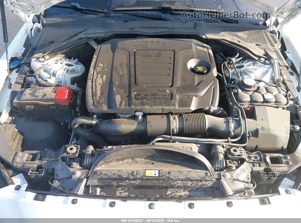 SAJAR4FX6KCP52634 2019 JAGUAR XF Белый Вид сзади