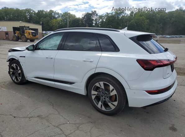 WA1AAAGE0NB007495 2022 AUDI E-TRON Белый 