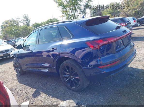WA1AAAGE1NB030994 2022 AUDI E-TRON Blue Սալոնի 360 աստիճան տեսք
