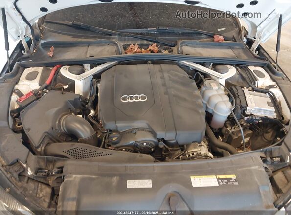 WAUABAF47MA035694 2021 AUDI OTHER White Հետևի տեսք