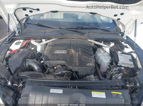 WAUABCF53PA022191 2023 AUDI OTHER White Widok z tyłu