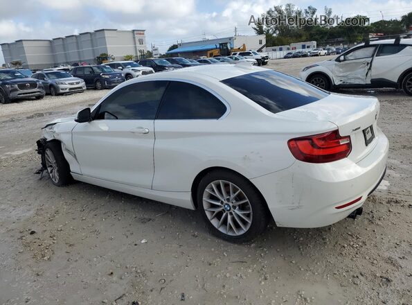 WBA1G9C55GV726359 2016 BMW 2 SERIES Белый Задняя левая четверть