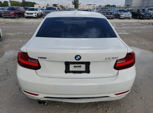 WBA1G9C55GV726359 2016 BMW 2 SERIES Белый Вид сзади