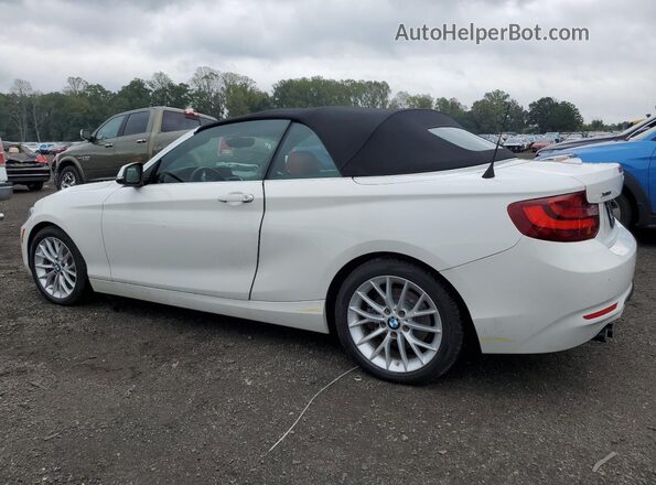 WBA1L9C51GV324317 2016 BMW 2 SERIES White Հետևի ձախ