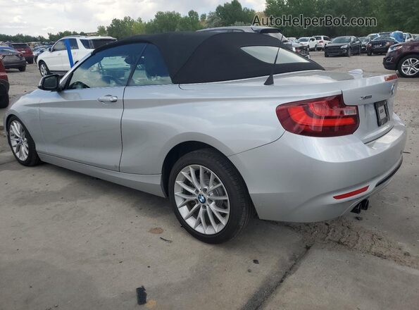 WBA1L9C5XGV325904 2016 BMW 2 SERIES Silver უკანა მარცხენა