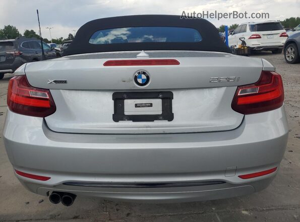 WBA1L9C5XGV325904 2016 BMW 2 SERIES Silver უკანა ხედი