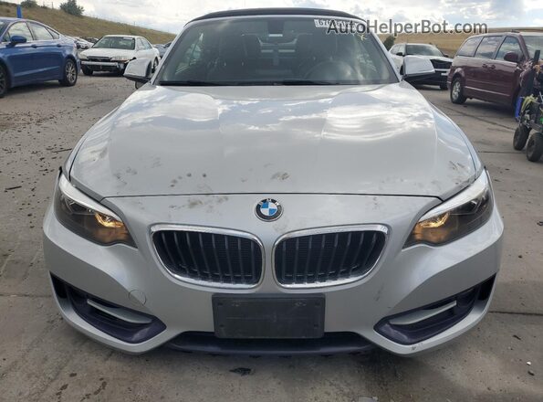 WBA1L9C5XGV325904 2016 BMW 2 SERIES Silver წინა ხედი