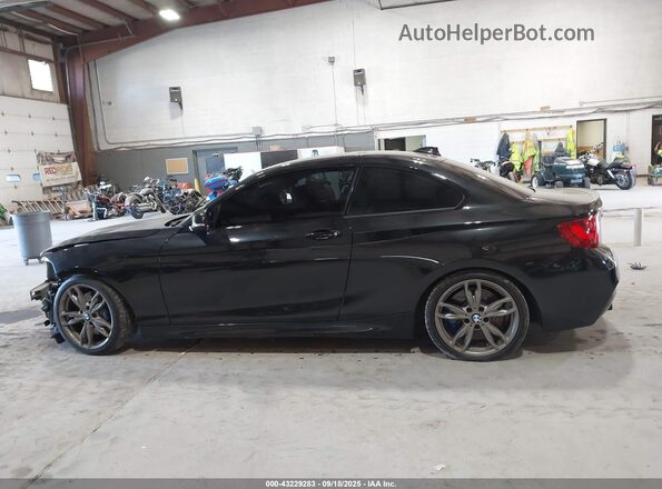 WBA2G3C31HV641245 2017 BMW M2 Black 