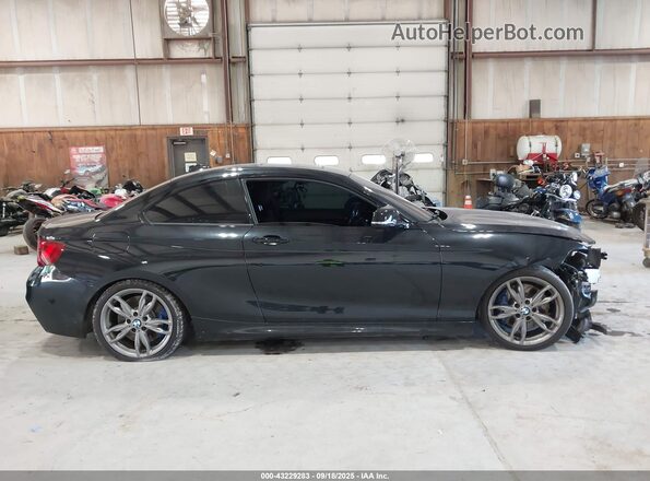 WBA2G3C31HV641245 2017 BMW M2 Black Սալոնի 360 աստիճան տեսք
