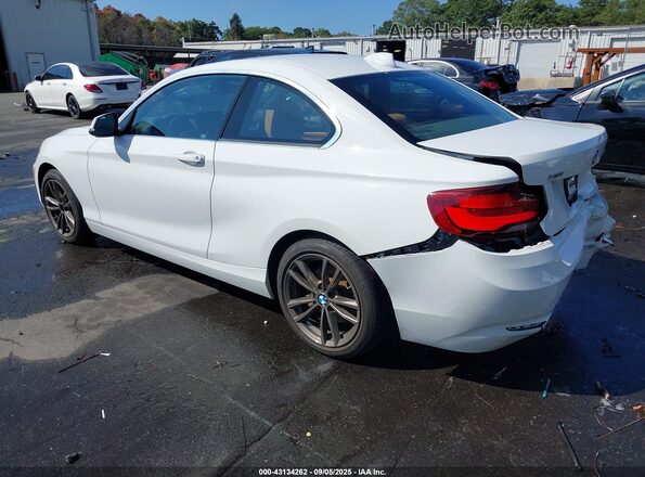 WBA2J3C01L7E62288 2020 BMW 2 SERIES White უკანა მარცხენა