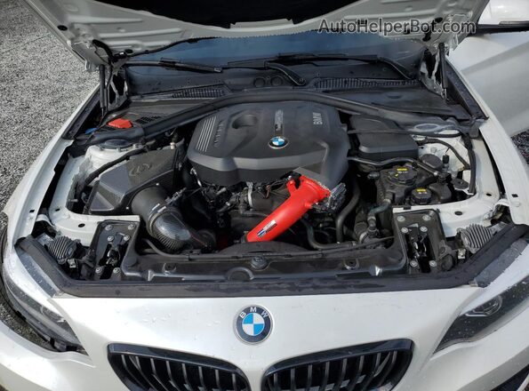 WBA2J3C04L7E83264 2020 BMW 2 SERIES White Սալոնի հետևի տեսք