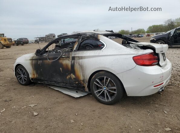 WBA2J3C57KVD49337 2019 BMW 2 SERIES White Задня ліва чверть