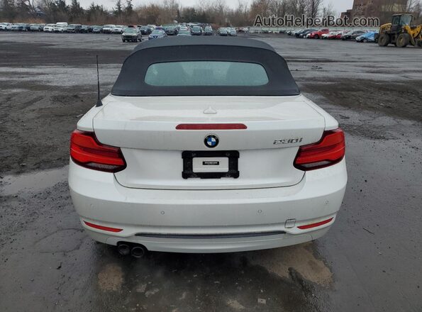 WBA2K1C55JVD41169 2018 BMW 2 SERIES White Widok z tyłu