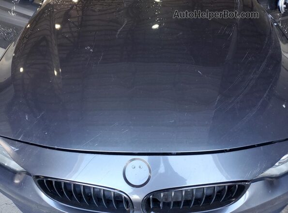 WBA4F9C57HG439708 2017 BMW 4 SERIES Charcoal Սալոնի հետևի տեսք
