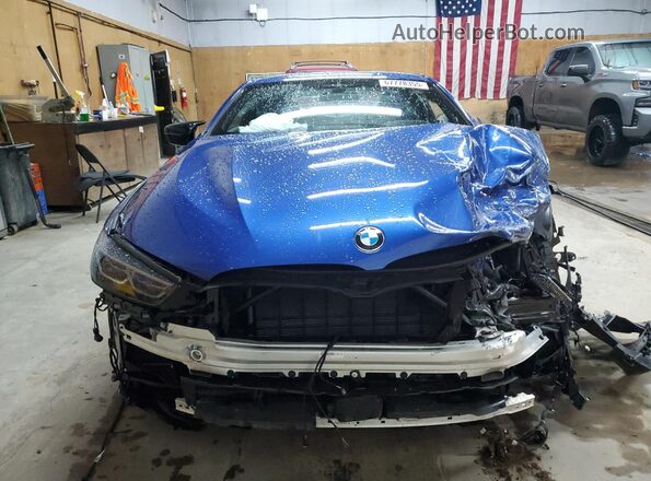 WBABC4C00RCR21274 2024 BMW M8 Blue Widok z przodu