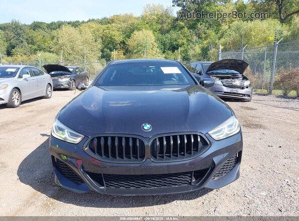 WBAGV4C04LCD10884 2020 BMW 8 SERIES Blue Вид щитка приладів